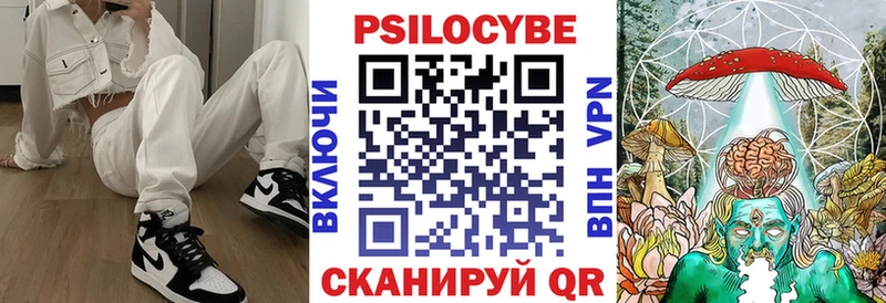 Псилоцибиновые грибы мицелий  что такое наркотик  Цимлянск 