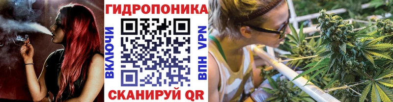 Бошки Шишки OG Kush Цимлянск